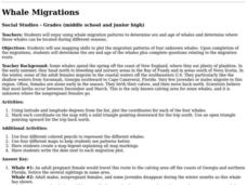 Whale Migrations Lesson Plan Whale Migrations Lesson Plan