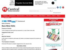 Basic Motor Skills Lesson Plan Basic Motor Skills Lesson Plan
