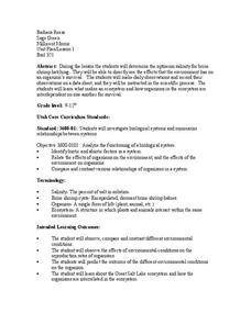 Hatching Brine Shrimp Lesson Plan Hatching Brine Shrimp Lesson Plan