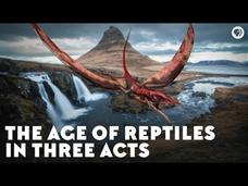 The Age of Reptiles in Three Acts Instructional Video The Age of Reptiles in Three Acts Instructional Video