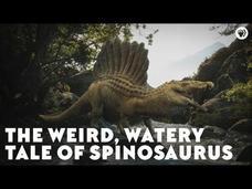 The Weird, Watery Tale of Spinosaurus Instructional Video The Weird, Watery Tale of Spinosaurus Instructional Video