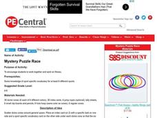 Mystery Puzzle Race Lesson Plan Mystery Puzzle Race Lesson Plan