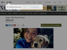Happiness is a Warm Puppy Lesson Plan Happiness is a Warm Puppy Lesson Plan