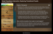 Great Transitions Interactive Interactive Great Transitions Interactive Interactive