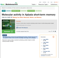 Molecular Activity in Aplysia Short-Term Memory Instructional Video Molecular Activity in Aplysia Short-Term Memory Instructional Video