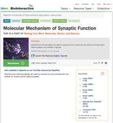 Molecular Mechanism of Synaptic Function Instructional Video Molecular Mechanism of Synaptic Function Instructional Video