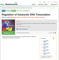 Regulation of Eukaryotic DNA Transcription Instructional Video Regulation of Eukaryotic DNA Transcription Instructional Video