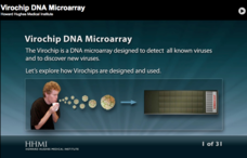 Virochip DNA Microarray Interactive Virochip DNA Microarray Interactive