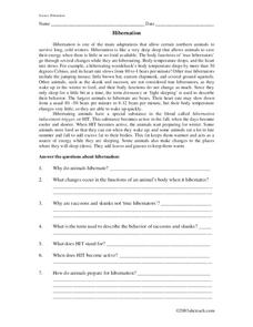 Hibernation Worksheet Hibernation Worksheet
