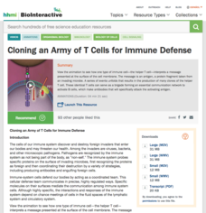 Cloning an Army of T Cells for Immune Defense Instructional Video Cloning an Army of T Cells for Immune Defense Instructional Video
