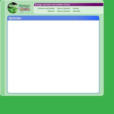 Organize-It Interactive Organize-It Interactive