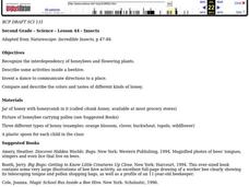 Honeybees Lesson Plan Honeybees Lesson Plan