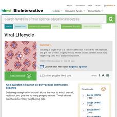 Viral Lifecycle Instructional Video Viral Lifecycle Instructional Video