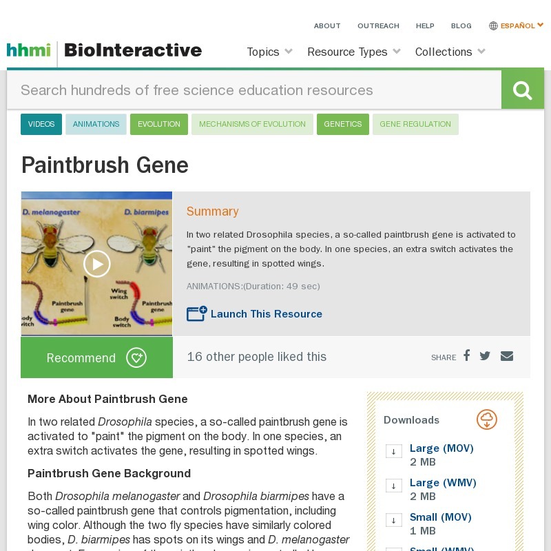 Paintbrush Gene Instructional Video Paintbrush Gene Instructional Video