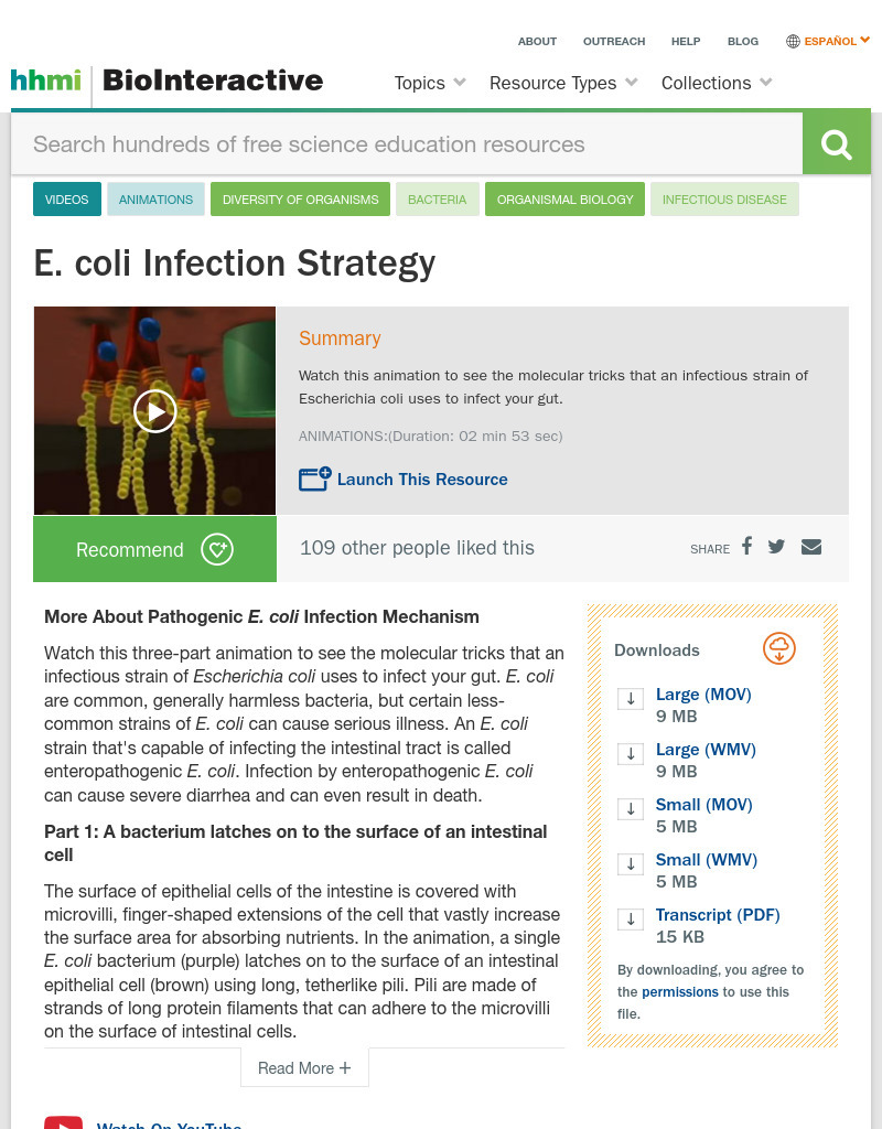E. Coli Infection Strategy Instructional Video E. Coli Infection Strategy Instructional Video