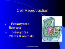Cell Reproduction PPT Cell Reproduction PPT