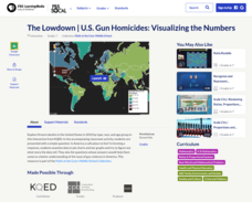 The Lowdown — U.S. Gun Homicides: Visualizing the Numbers Interactive The Lowdown — U.S. Gun Homicides: Visualizing the Numbers Interactive
