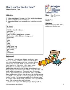How Does Your Garden Grow? Lesson Plan How Does Your Garden Grow? Lesson Plan