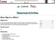 HOW BIG IS A BLUE? Lesson Plan HOW BIG IS A BLUE? Lesson Plan