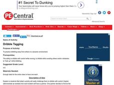 Dribble Tagging Lesson Plan Dribble Tagging Lesson Plan