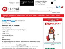 Rolling a Ball to a Target Lesson Plan Rolling a Ball to a Target Lesson Plan
