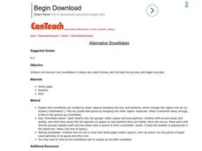 Alternative Snowflakes Lesson Plan Alternative Snowflakes Lesson Plan