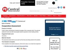 Cooperation Assessment Lesson Plan Cooperation Assessment Lesson Plan
