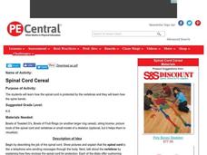 Spinal Cord Cereal Lesson Plan Spinal Cord Cereal Lesson Plan