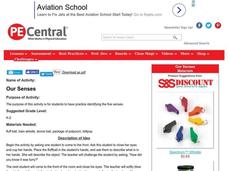 Our Senses Lesson Plan Our Senses Lesson Plan