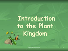 Introduction to the Plant Kingdom PPT Introduction to the Plant Kingdom PPT