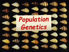 Population Genetics PPT Population Genetics PPT