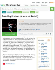 DNA Replication (Advanced Detail) Video DNA Replication (Advanced Detail) Video