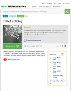 mRNA Splicing Instructional Video mRNA Splicing Instructional Video