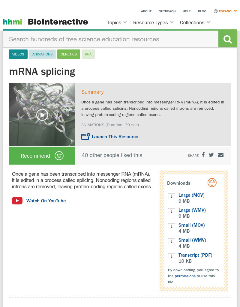 mRNA Splicing Instructional Video mRNA Splicing Instructional Video