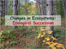 Changes in Ecosystems: Ecological Succession PPT Changes in Ecosystems: Ecological Succession PPT