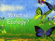 What Is Ecology? PPT What Is Ecology? PPT