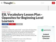 ESL Vocabulary Lesson Plan - Opposites for Beginners Lesson Plan ESL Vocabulary Lesson Plan - Opposites for Beginners Lesson Plan