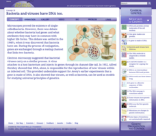 Bacteria and Viruses Have DNA Too Interactive Bacteria and Viruses Have DNA Too Interactive