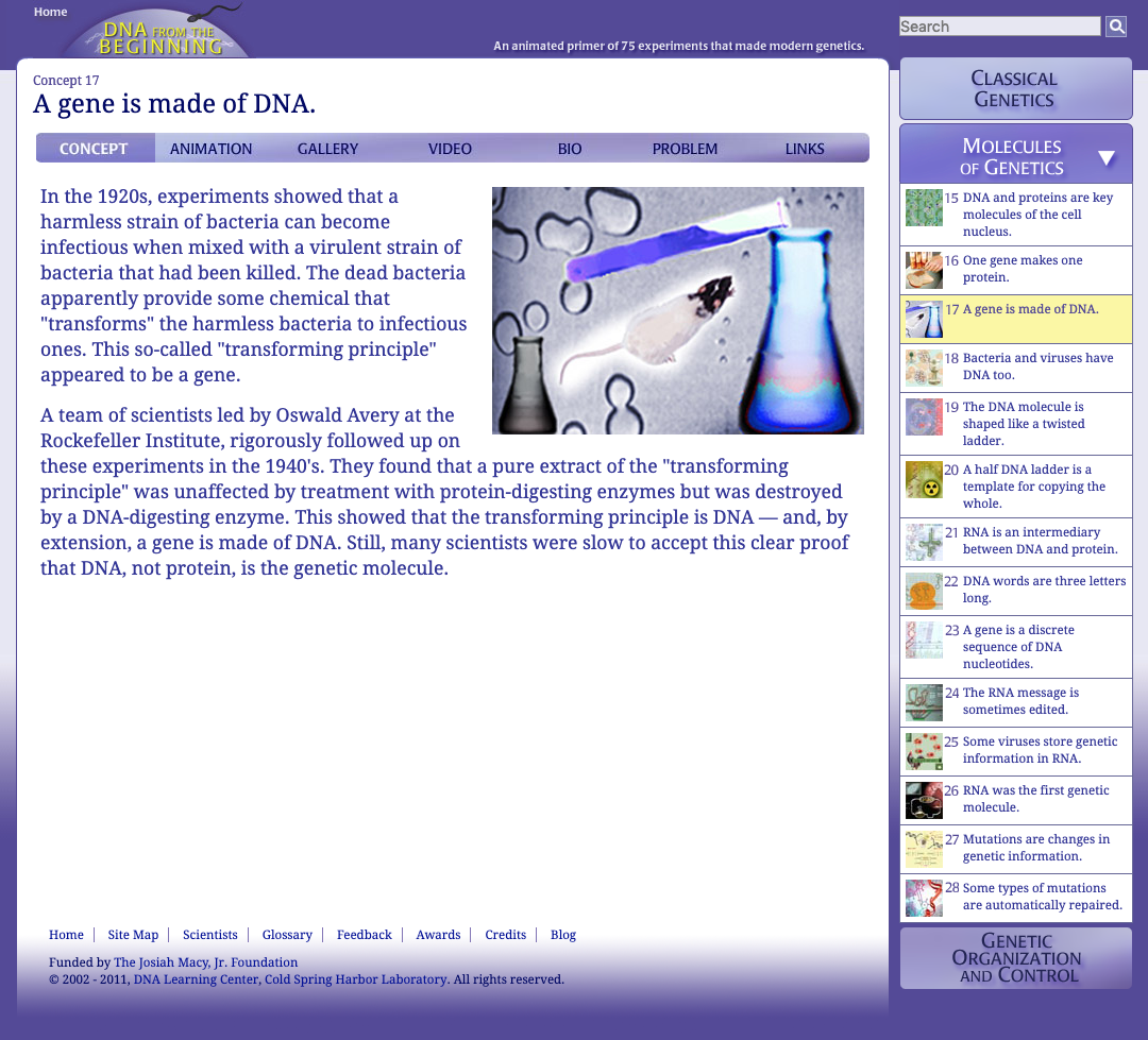 A Gene Is Made of DNA Interactive A Gene Is Made of DNA Interactive