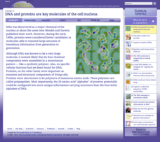DNA and Proteins Are Key Molecules of the Cell Nucleus Interactive DNA and Proteins Are Key Molecules of the Cell Nucleus Interactive