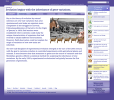 Evolution Begins with the Inheritance of Gene Variations Interactive Evolution Begins with the Inheritance of Gene Variations Interactive
