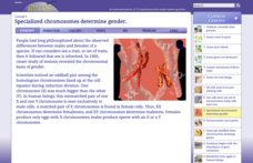 Specialized Chromosomes Determine Gender Interactive Specialized Chromosomes Determine Gender Interactive