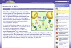 Genes Come in Pairs Interactive Genes Come in Pairs Interactive