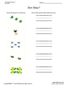 How Many? Worksheet How Many? Worksheet