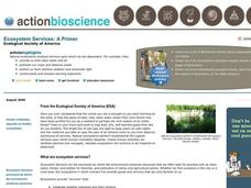 How Much Is an Ecosystem Worth? Lesson Plan How Much Is an Ecosystem Worth? Lesson Plan