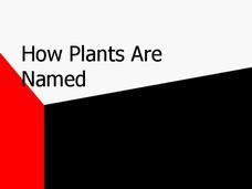 How Plants Are Named PPT How Plants Are Named PPT