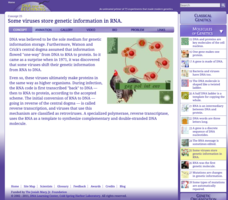 Some Viruses Store Genetic Information in RNA Interactive Some Viruses Store Genetic Information in RNA Interactive