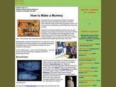How To Make a Mummy Lesson Plan How To Make a Mummy Lesson Plan