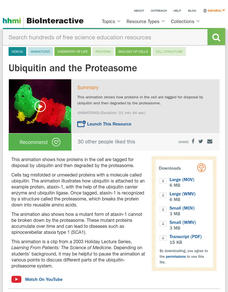 The Proteasome Instructional Video The Proteasome Instructional Video