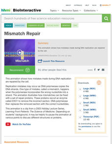 Mismatch Repair Instructional Video Mismatch Repair Instructional Video